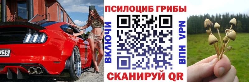 Псилоцибиновые грибы Psilocybine cubensis  купить  сайты  Ардатов 